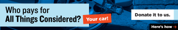 Ari Shapiro: Donate to Support All Things Considered - 1160x200 preview image