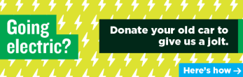 Camila Domonoske: Going Electric? 300x75 preview image
