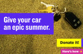 Epic Summer - 500x325 preview image