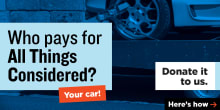 Ari Shapiro: Donate to Support All Things Considered - 506x253 preview image