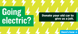 Camila Domonoske: Going Electric? 578x250 preview image