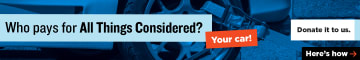 Ari Shapiro: Donate to Support All Things Considered - 900x150 preview image