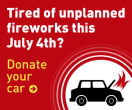 4th Of July  Unplanned Fireworks 300x250 preview image