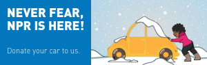 Winter Car Public Radio 300x95 preview image
