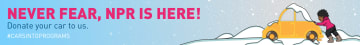 Winter Car Public Radio 728x90 preview image
