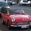 Holiday Triumph preview image