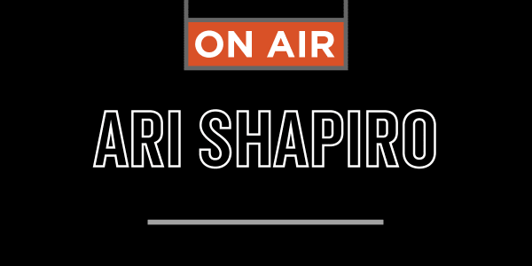 Ari Shapiro cover image